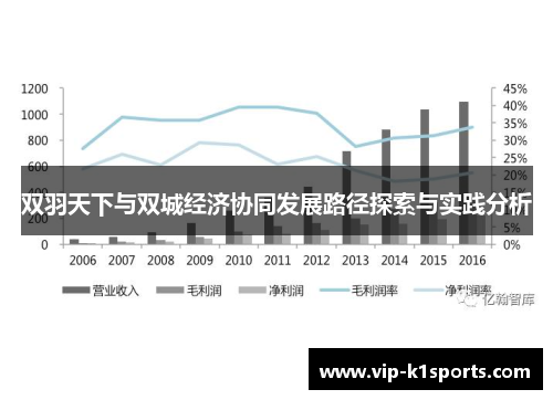 双羽天下与双城经济协同发展路径探索与实践分析